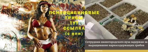 мдпв Володарск