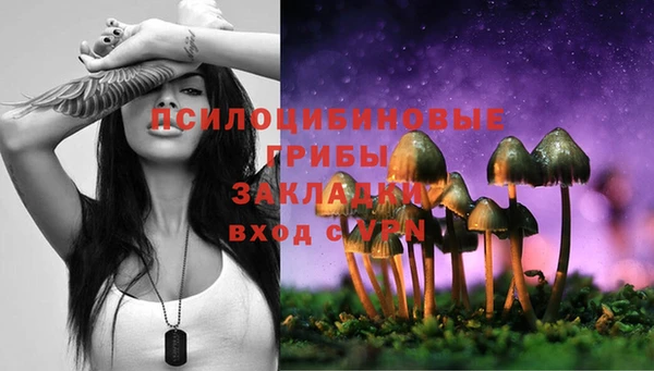 мдпв Володарск