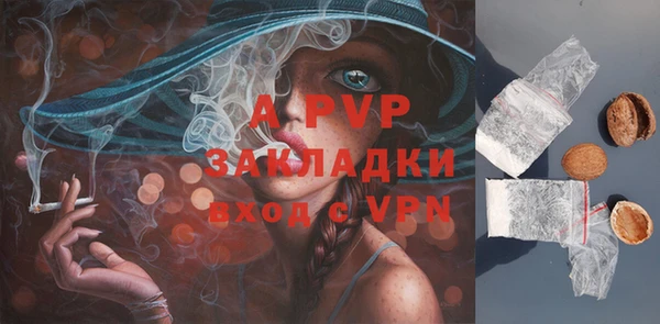 мдпв Володарск