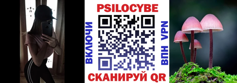 Галлюциногенные грибы Cubensis  закладка  Кимовск 